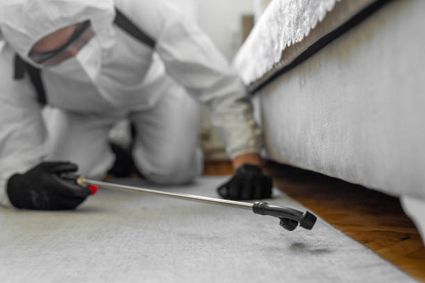 Professional Termite Control technician working in Port Townsend, WA