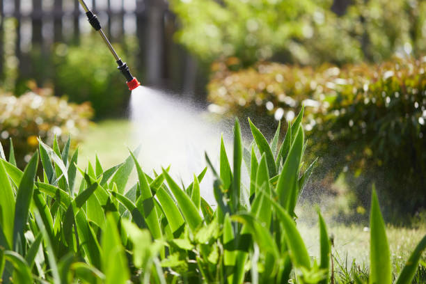 24/7 Emergency Termite Control experts in Port Townsend, WA
