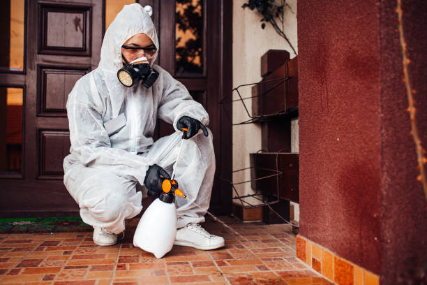 Reliable Termite Control contractor in Port Townsend, WA by Nex Pest Control