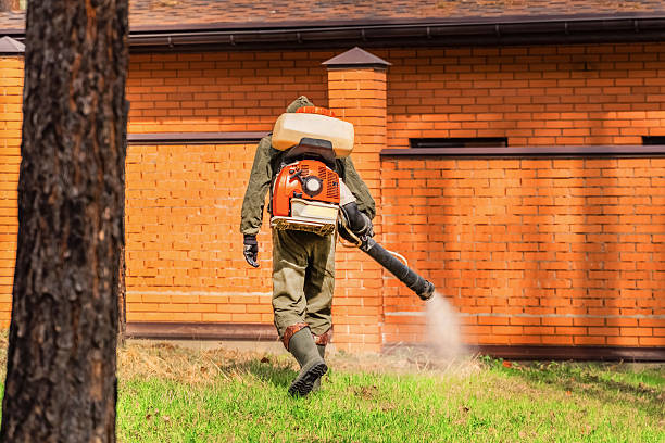 Trusted Fumigation Services service in Port Townsend, WA - Nex Pest Control